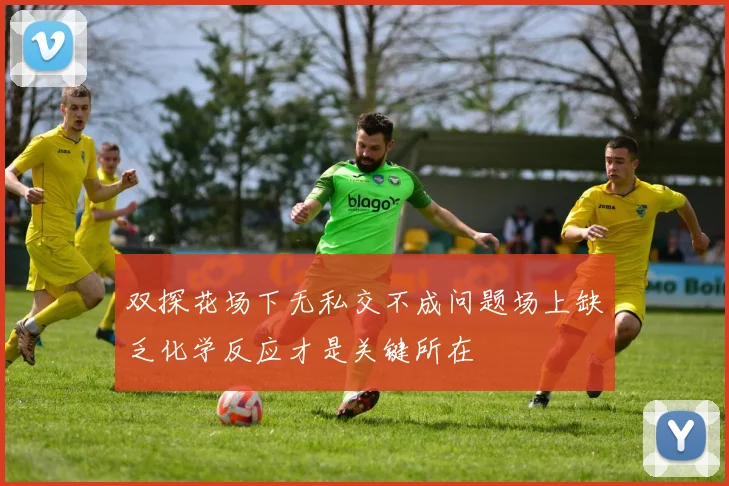 双探花场下无私交不成问题场上缺乏化学反应才是关键所在